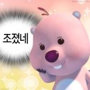 뉴욕안경 이미지