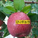 강나루농원