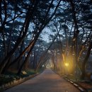 너정골 네이버블로그