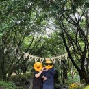 카멜리아힐 | 11개월 아기와 부모님과 다녀온 제주도 서귀포가볼만한곳 : 카멜리아 힐 방문후기