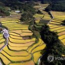 황금목욕탕 이미지