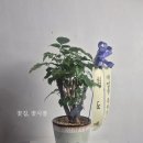 서강당구장 이미지