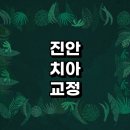 진안군 치아교정 잘하는 전문치과 병원 추천 | 비용 후기 설측교정 돌출입 앞니 투명 무턱 부분 교정기...