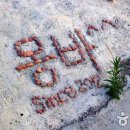 몽돌바다캠핑장 이미지