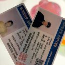 부 산 | 부~산 갈매기