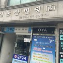 대전둔산중학교 | 대전 둔산동 따뜻한 분위기 식물카페 숍비피 | 디저트가 예쁘고 맛있는 🧈☁️