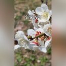 그린마트365 | 광교 소고기 정육식당 꿈에그린 그로서란트 앞으로 모임은 여기서