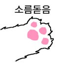 평창고추장닭갈비 네이버블로그