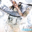 한진주유소 이미지