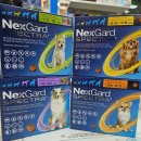 동탄365약국 이미지