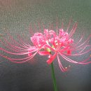 화곡3동 이미지