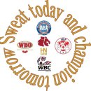 한남 권투 이미지