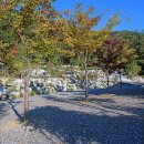 추월산골드캠핑장 이미지