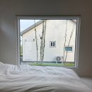 스테이인숲 | [제주도 숙소] 포르투나스테이인표선 : E동 / 서귀포 숲뷰 독채 신상 감성 숙소