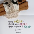 이사야 레브