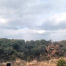 남영세탁 이미지