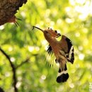 무한사랑 이미지