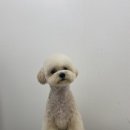 찰스앤에디 이미지