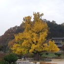 공무원 헌신하는 정신을 이미지