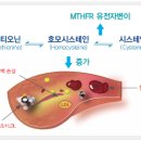 삼오개발 이미지