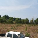 최한용농장 이미지