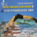 2014년 제13회 이충무공배 전국핀수영대회 겸 청소년 국가대표 선발전 이미지