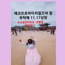 에코프로 머티리얼즈 공모주 청약(매도 후기 추가