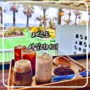 사일리커피 | 제주 서귀포 오션뷰카페 현지인한테 추천받은 사일리커피 후기