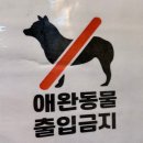 코인짱노래연습장 이미지