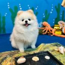 스토리 멍 이미지