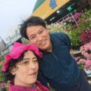 혜성화원 이미지
