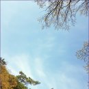 리딩브레인 이미지