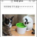 구구제제 이미지