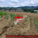 썬공인중개사합동사무소 이미지