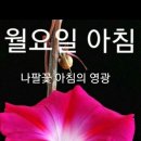 5월1일 월요일 제주사랑방 아침인사 이미지