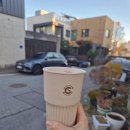 더 포레 동물병원 | 가을 OOTD / 메이크업 / 단풍나들이 / 판교동물병원 고양이 결막염