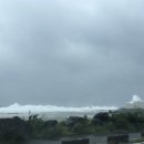 다움 스크린골프 이미지