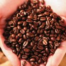 루나 카페 이미지