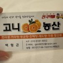 제주동쪽세화 혼자 여행_세화오일시장 재연식당 카페미와 카페한라산 내돈내산 뚜벅이 후기