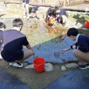 태전농장 이미지