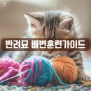 구미나라약국 이미지