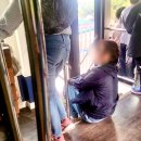 (주)우리라인 | 부산데이트 가볼만한곳 해운대블루라인파크 주말 후기