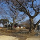 석탄정(石灘亭) | 고창읍,율계리 - 류운의 석탄정(石灘亭)1581년