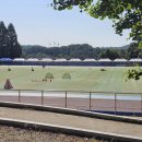 탄현체육공원 이미지