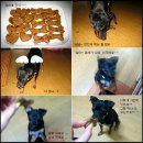 깜비