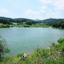 수지피시방 이미지