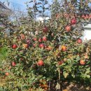 유연농장 이미지