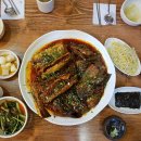 황금코다리 티스토리