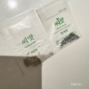 고기친구 | 다이소 식물키우기 텃밭세트 후기, 초보 식집사, 고기친구 적겨자&amp;상추!