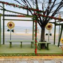 디앤와이펜션 이미지